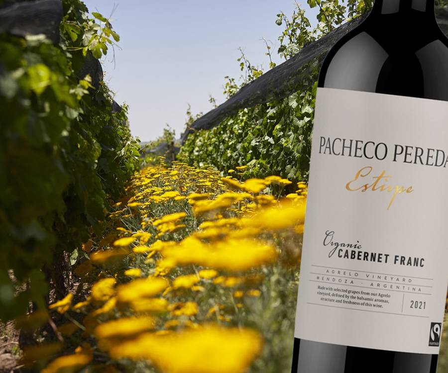 Malbec economicos que tenés que probar!