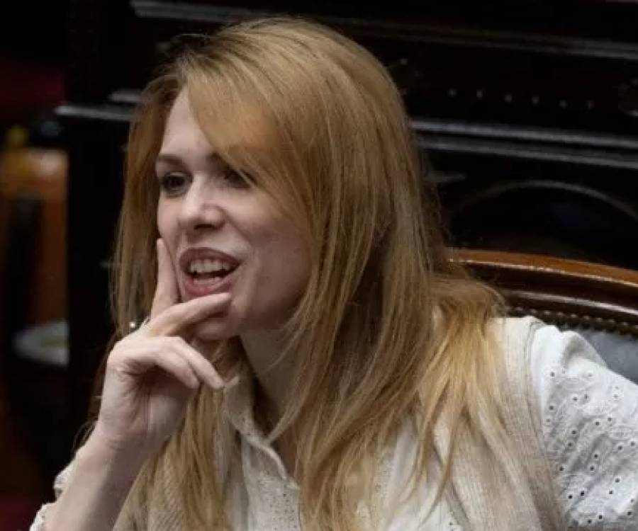 Lemoine criticó a los médicos del Garrahan: 