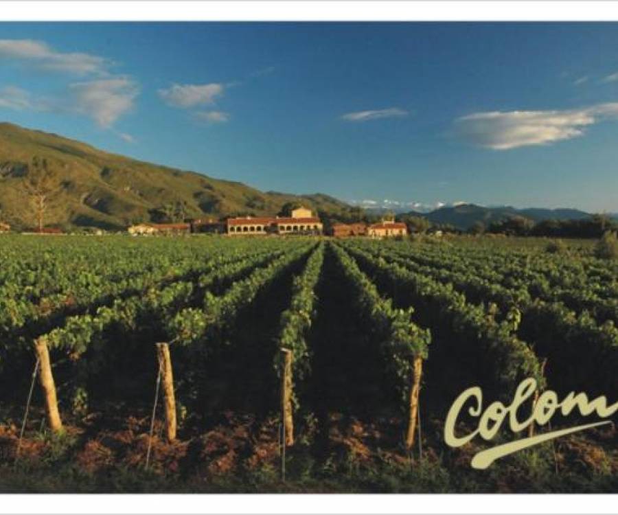 Cuál es la mejor bodega para visitar en Argentina, según el voto de expertos