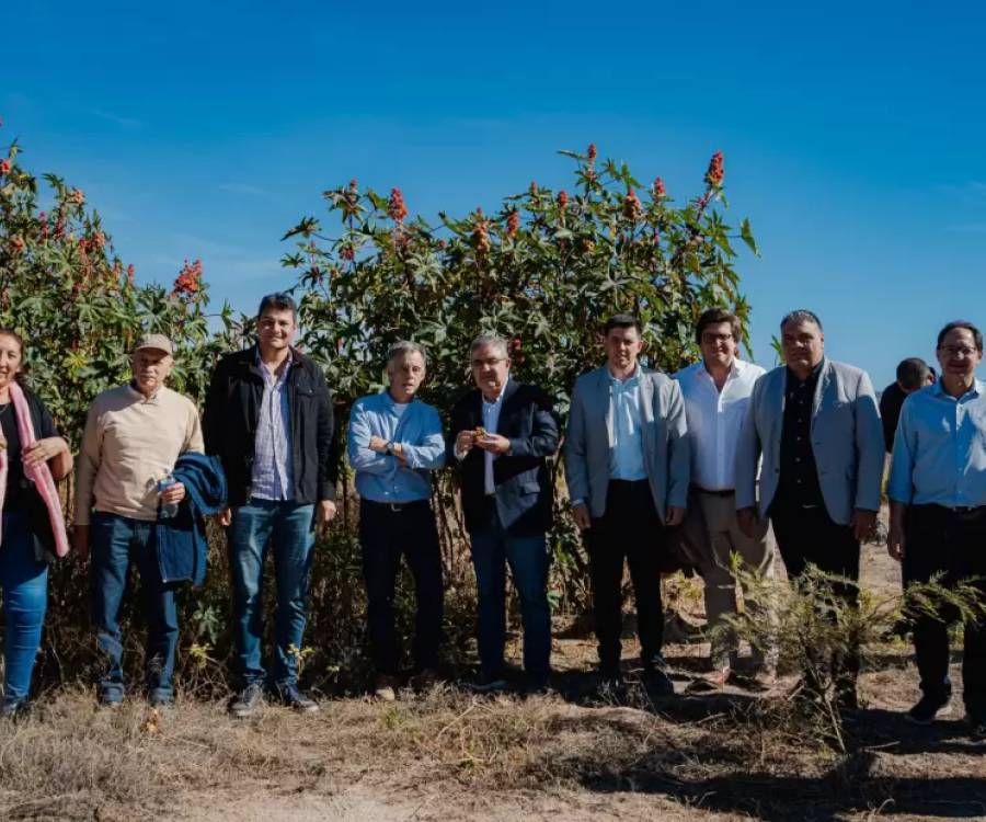 Andalgalá: emprendimiento productivo impulsa el cultivo de ricino