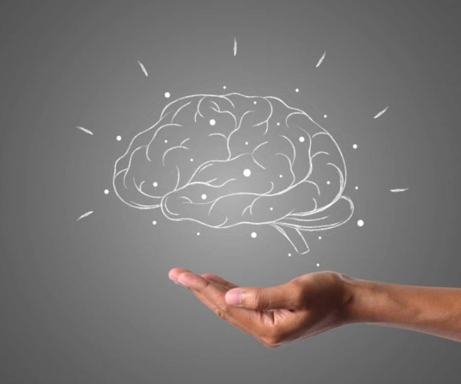 Las 9 recomendaciones de la neurociencia para cuidar la salud cerebral a lo largo de la vida