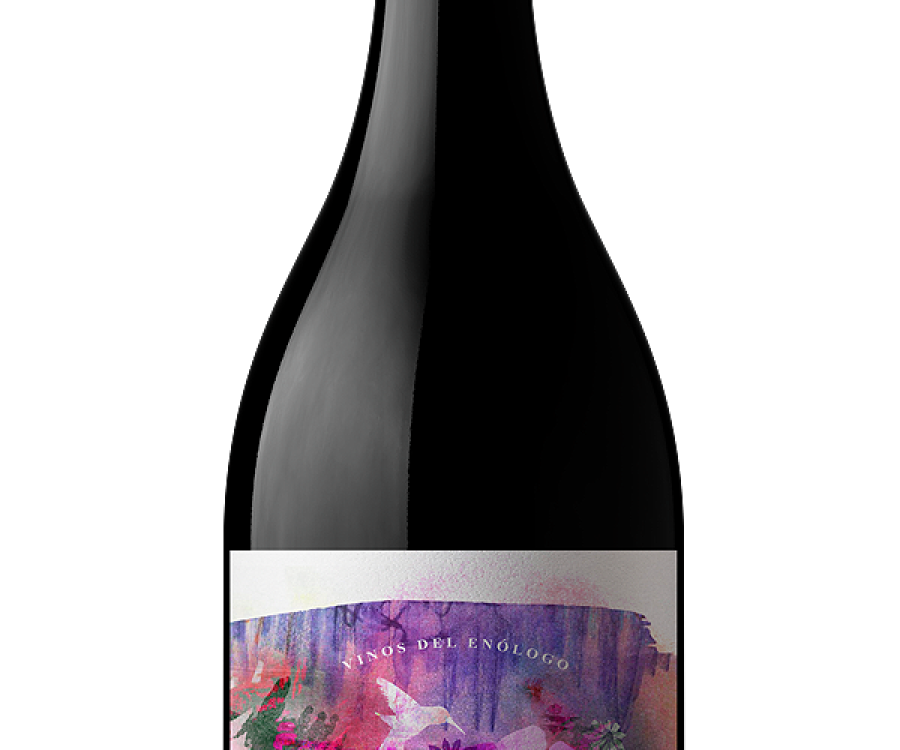 Quinde Freisa 2024 | Bodega Vinecol