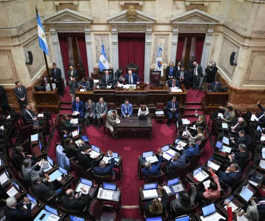 El Senado dejó sin efecto el veto de Milei y reactivó la ley de emergencia en discapacidad