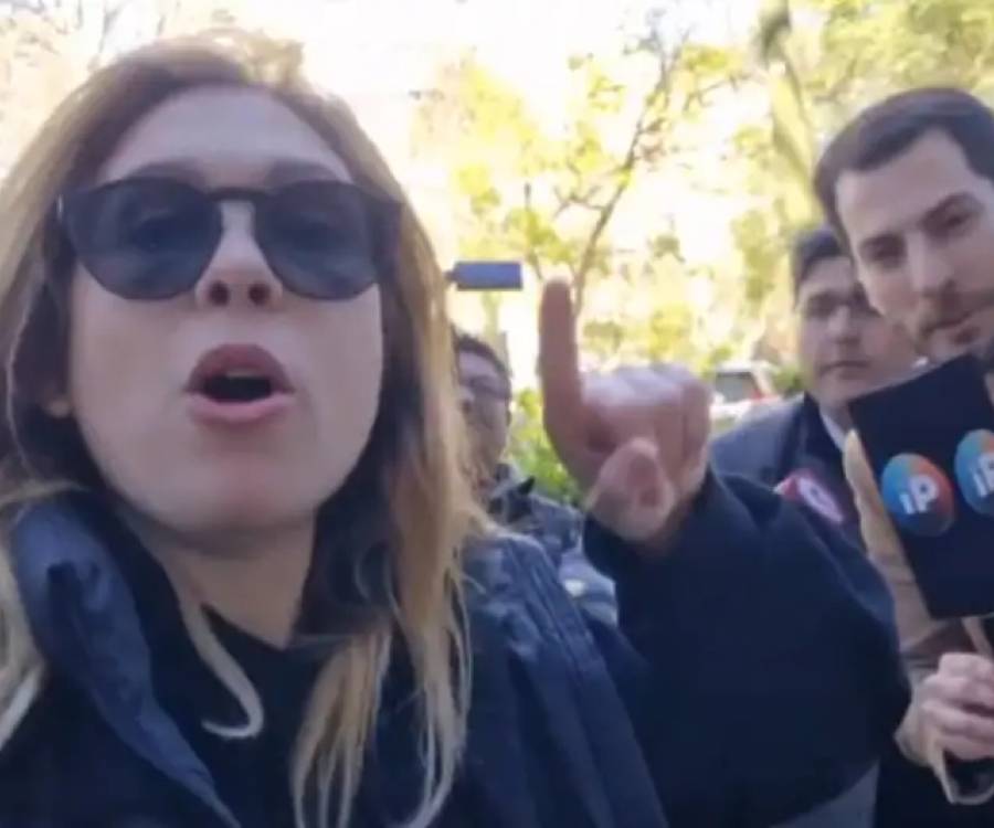 Lilia Lemoine y un nuevo papelón: le preguntaron por el caso Andis y respondió a los gritos