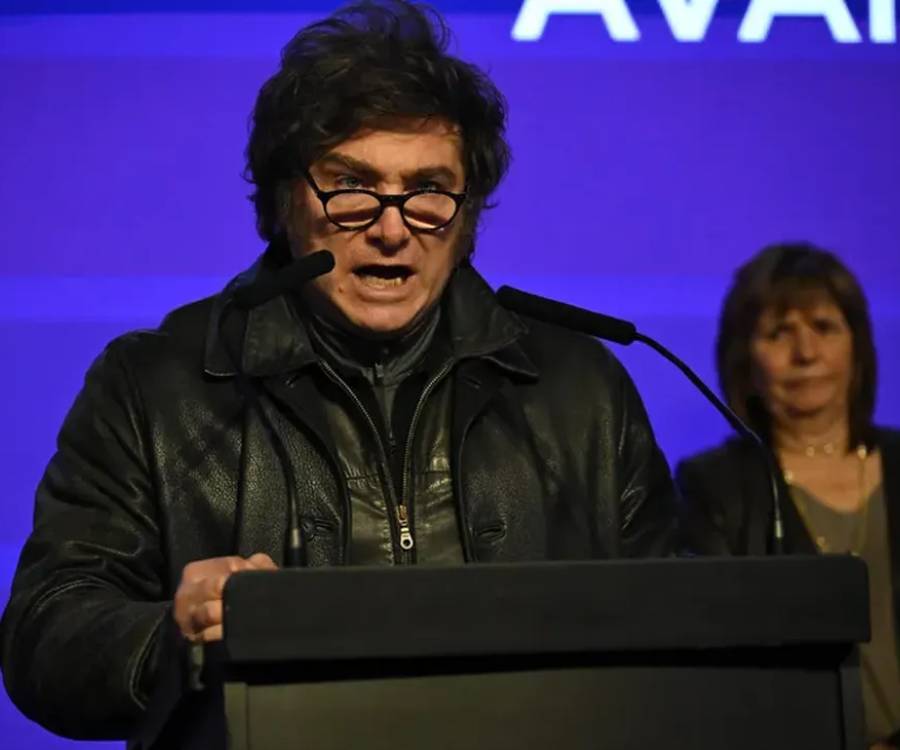 Javier Milei también vetó la Ley de emergencia pediátrica