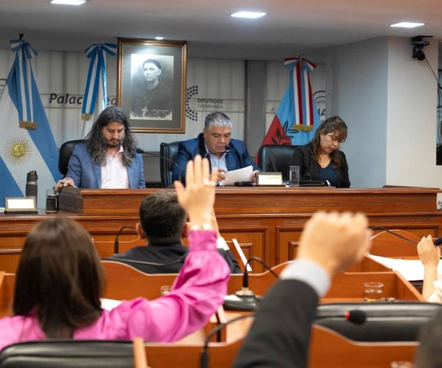 El Senado dio sanción definitiva a la creación de la línea telefónica gratuita “Proteger”