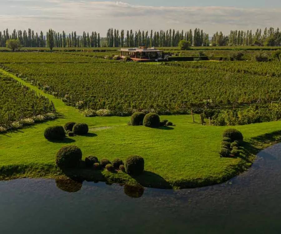 El singular caso de la bodega argentina que solo produce un vino y es referente a nivel global