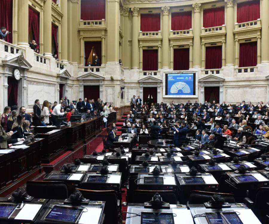 La oposición rechazó los vetos de Milei al financiamiento universitario y la emergencia pediátrica