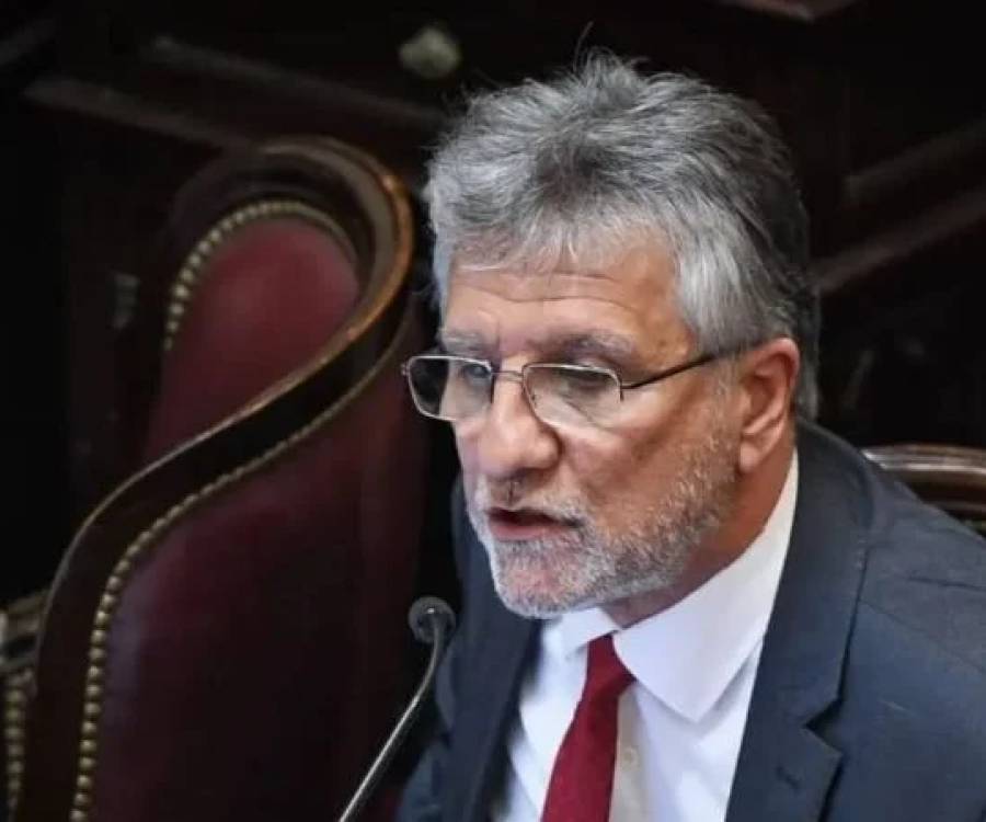 Andrada en el Senado: “No existe un país libre con una educación cercenada”