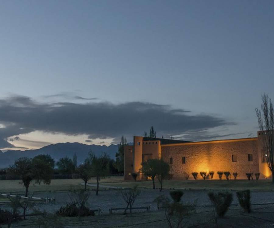 Bodega Sottano – Sottano Fioravante Sauvignon Blanc