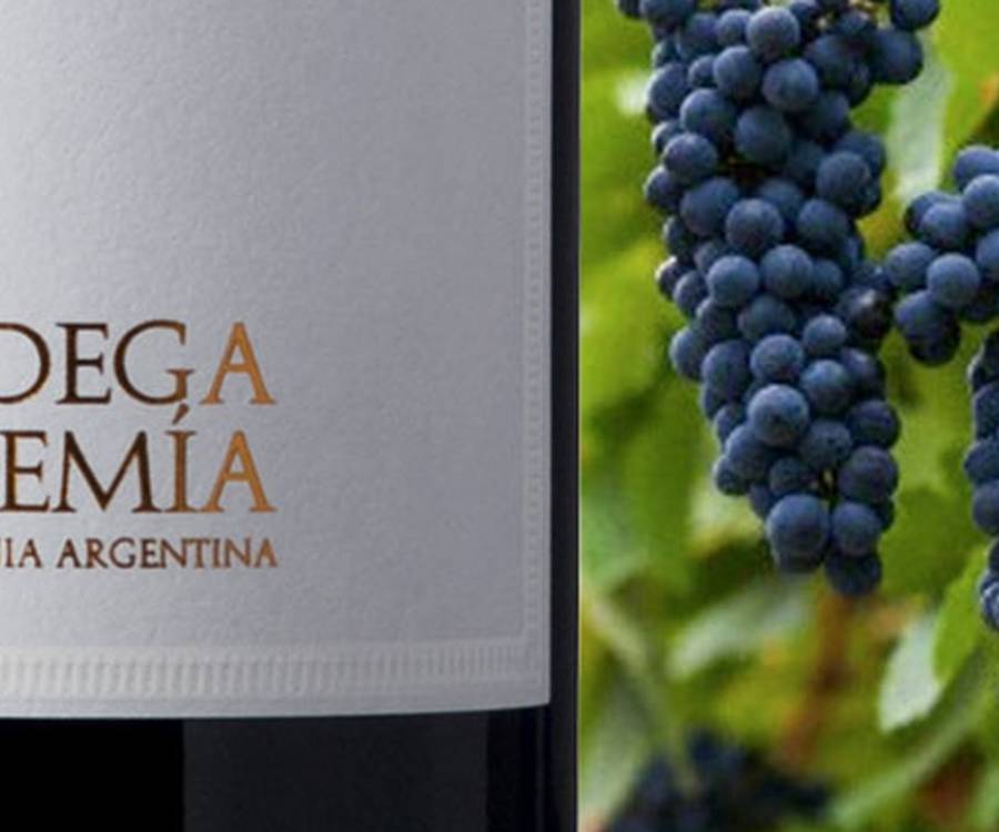 VINOS & Mas: Noemia Malbec