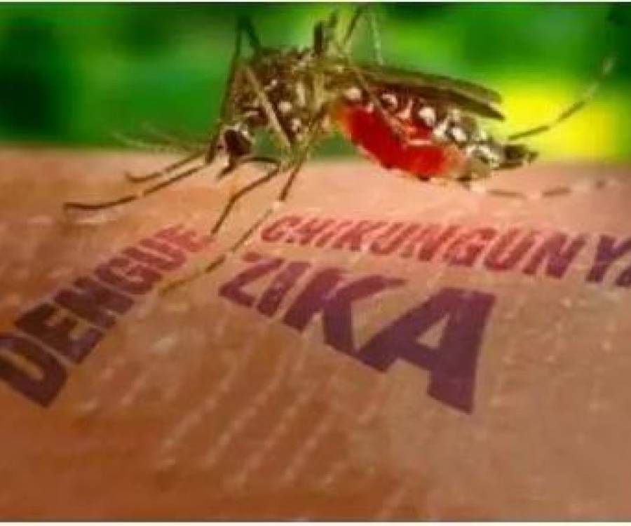 Cronograma semanal de control focal para evitar el dengue