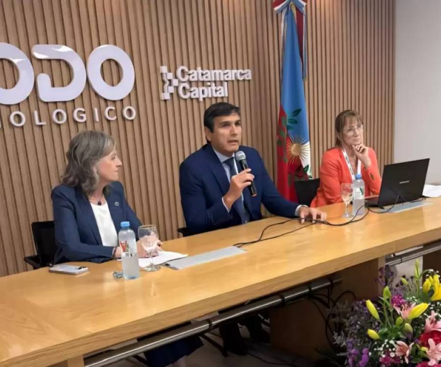 IX jornadas de profesores y profesoras de Derecho Procesal