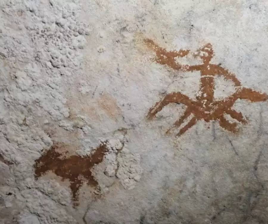 Encuentra en Indonesia las primeras pinturas rupestres de la humanidad