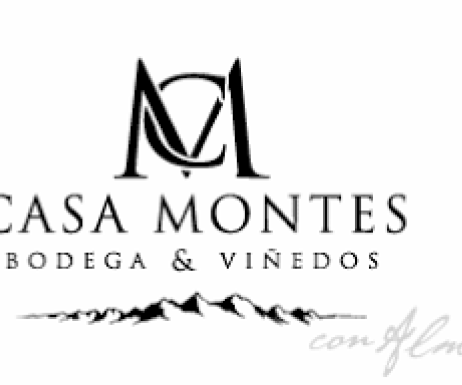 Casa Montes, símbolo de la crisis que sacude a las bodegas argentinas: $471 millones en cheques rechazados