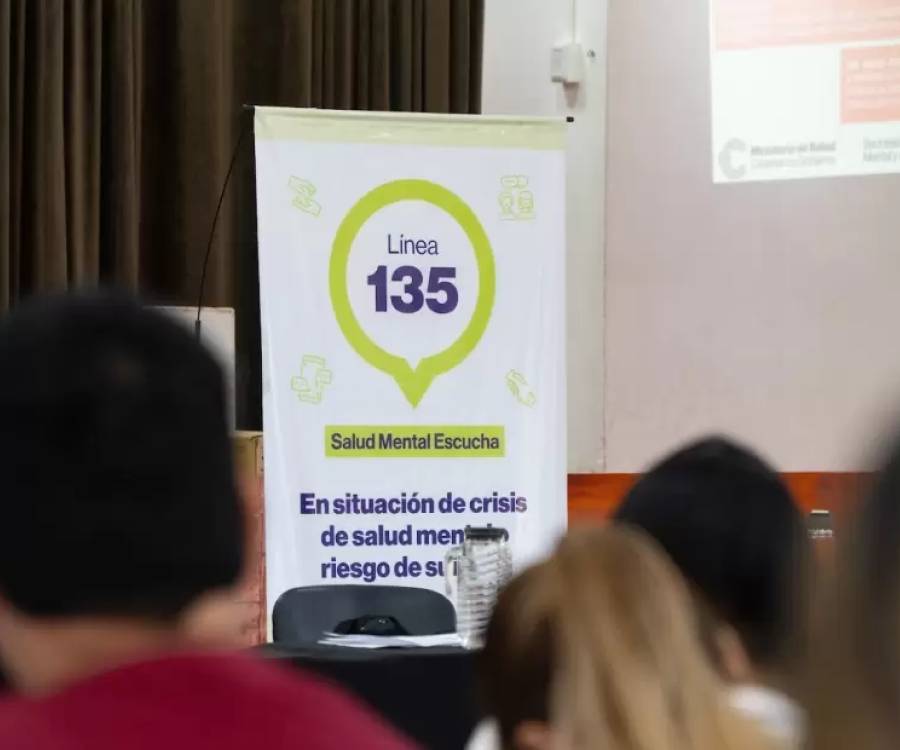 Línea 135: el dispositivo de salud mental que ya realizó 933 intervenciones