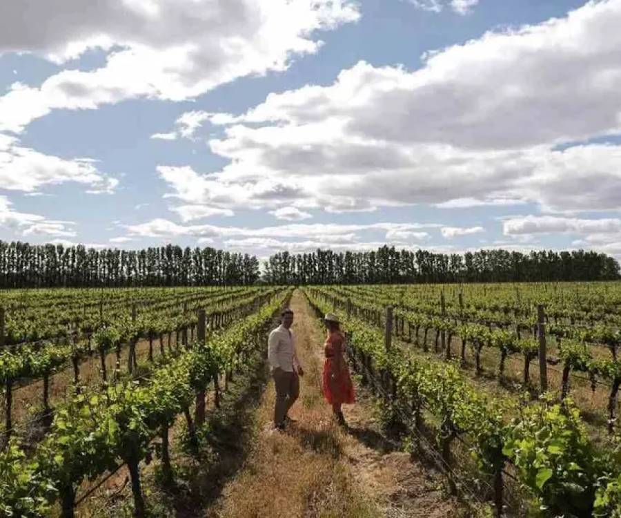 Vinos, paisajes y experiencias: la Ruta del Vino que pone a La Pampa en el mapa turístico
