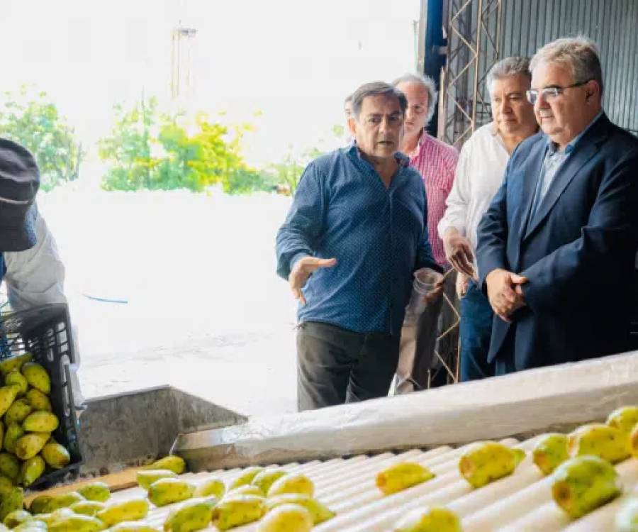 Catamarca duplicó sus exportaciones en el primer trimestre de 2026