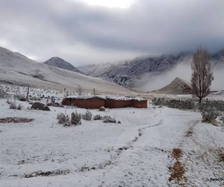 Temperaturas bajo cero y nevadas en el interior