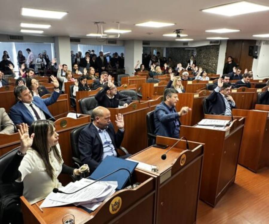 Proyectos sobre patrimonio, inclusión, deporte y accesibilidad avanzaron en Diputados