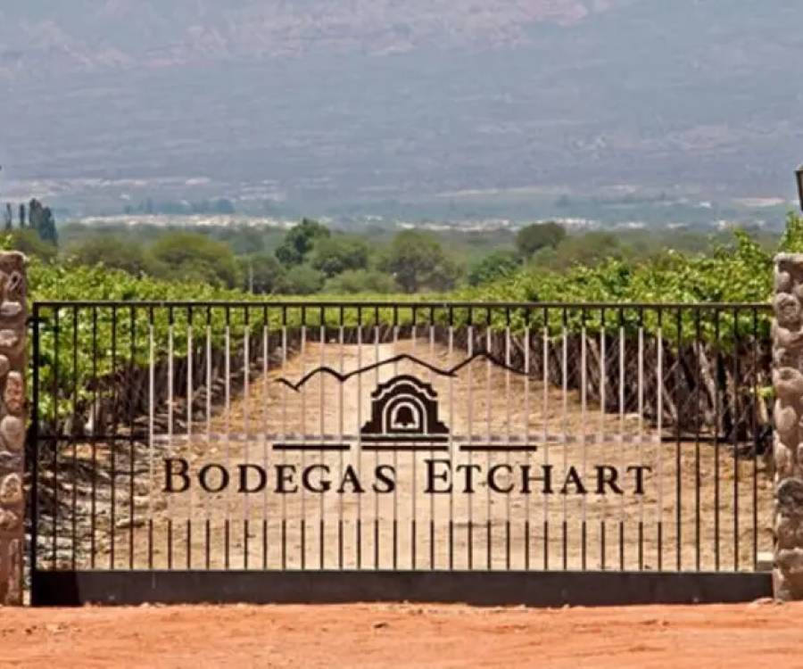 Golpe en el negocio del vino: Pérez Companc compra una bodega histórica y expande su imperio