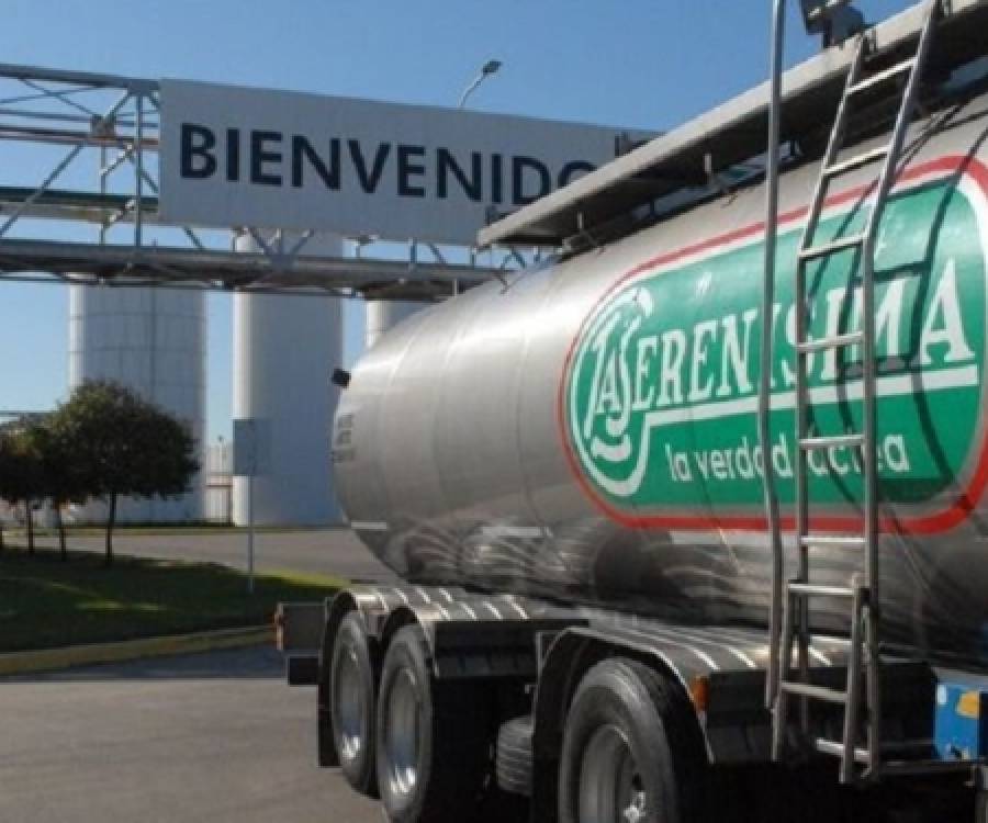 El gran tablero lácteo: la ola de fusiones y adquisiciones que redibuja el mapa de la industria en la Argentina