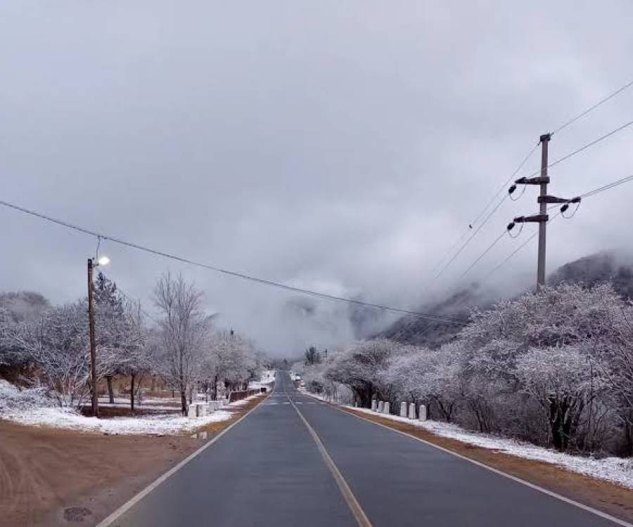 Ola polar en Argentina: 16 ciudades amanecieron bajo cero