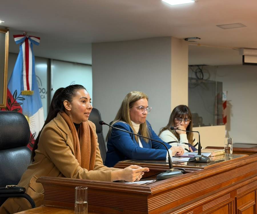 La Comisión de Salud avanzó en el análisis de proyectos para ampliar el acceso a los medicamentos