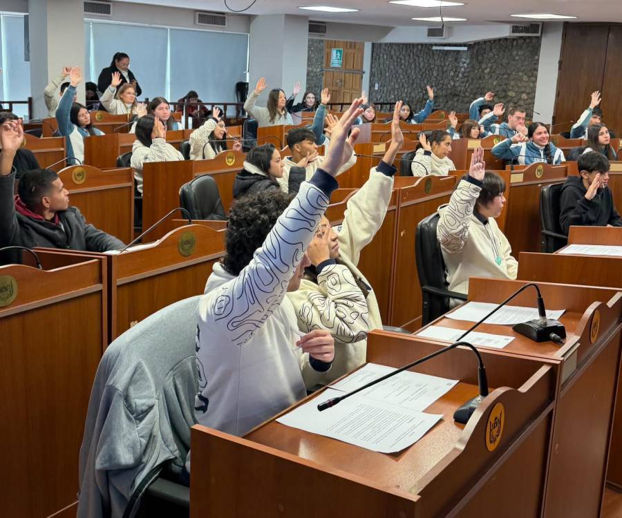 Las juventudes ganan protagonismo en la Cámara de Diputados