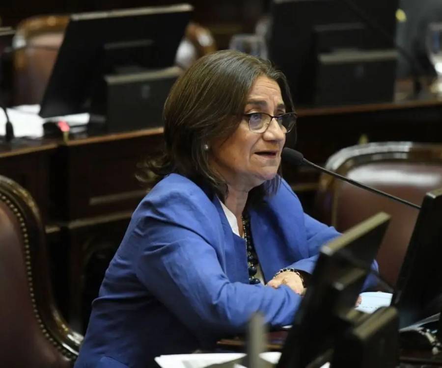 Corpacci: “El nombre de la ley no es de Inviolabilidad, es de desprotección y entrega”