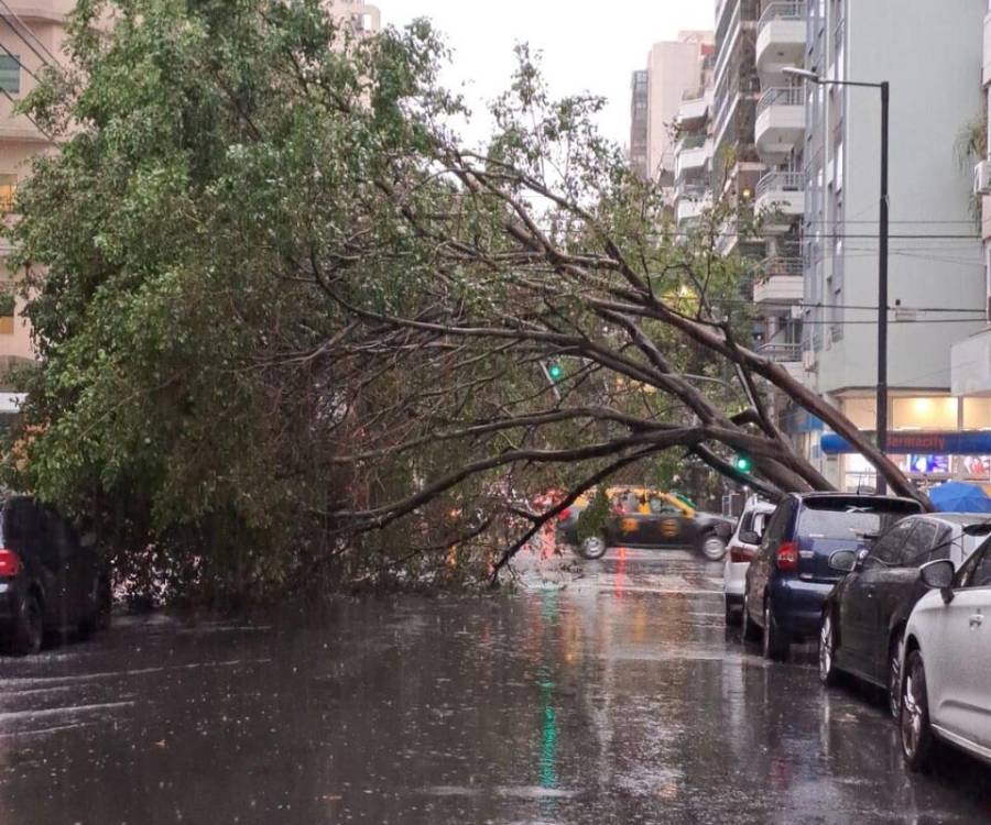 La advertencia de la argentina que lidera la Organización Meteorológica Mundial: «El Niño se está volviendo gigantesco ante nuestros ojos» 