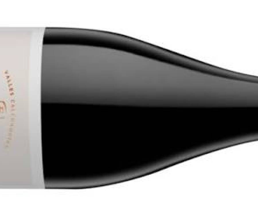 Blend de Extremos Pinot Noir – El Esteco
