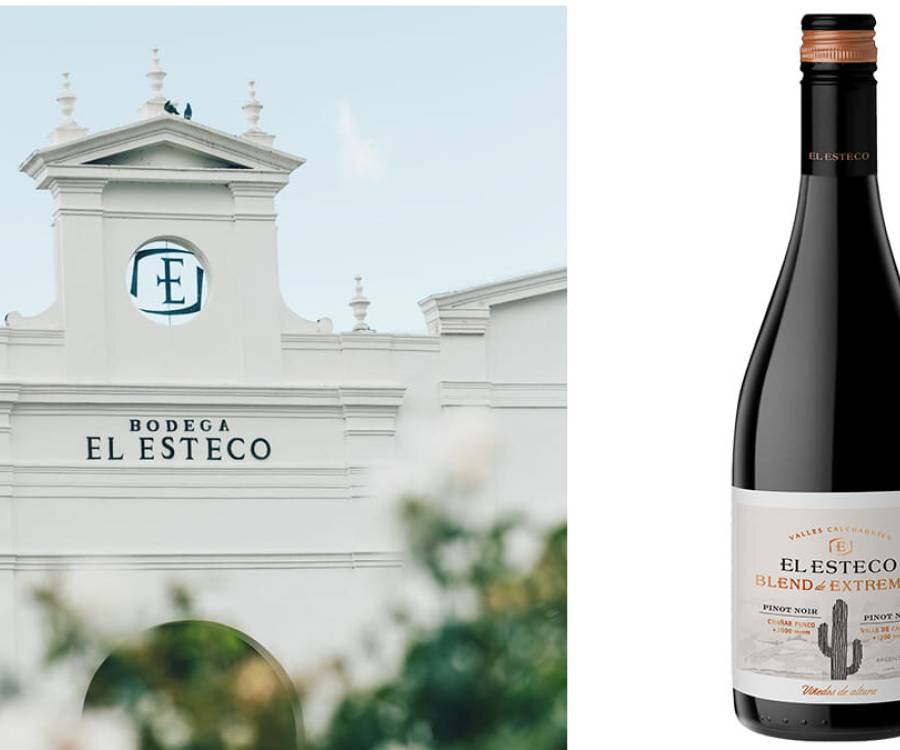Blend de Extremos Pinot Noir – El Esteco